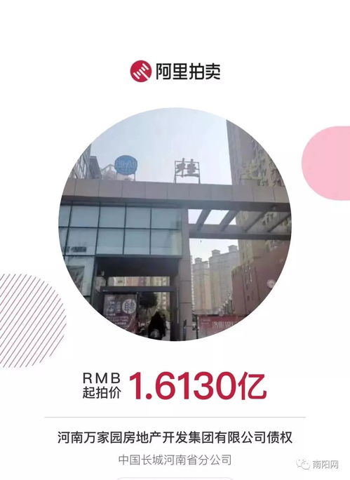 南陽知名房企項目突遭法拍 在建工程1.6億起拍，折射行業困境